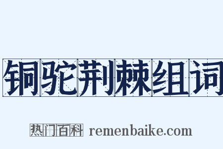 铜驼荆棘组词是什么意思的图片